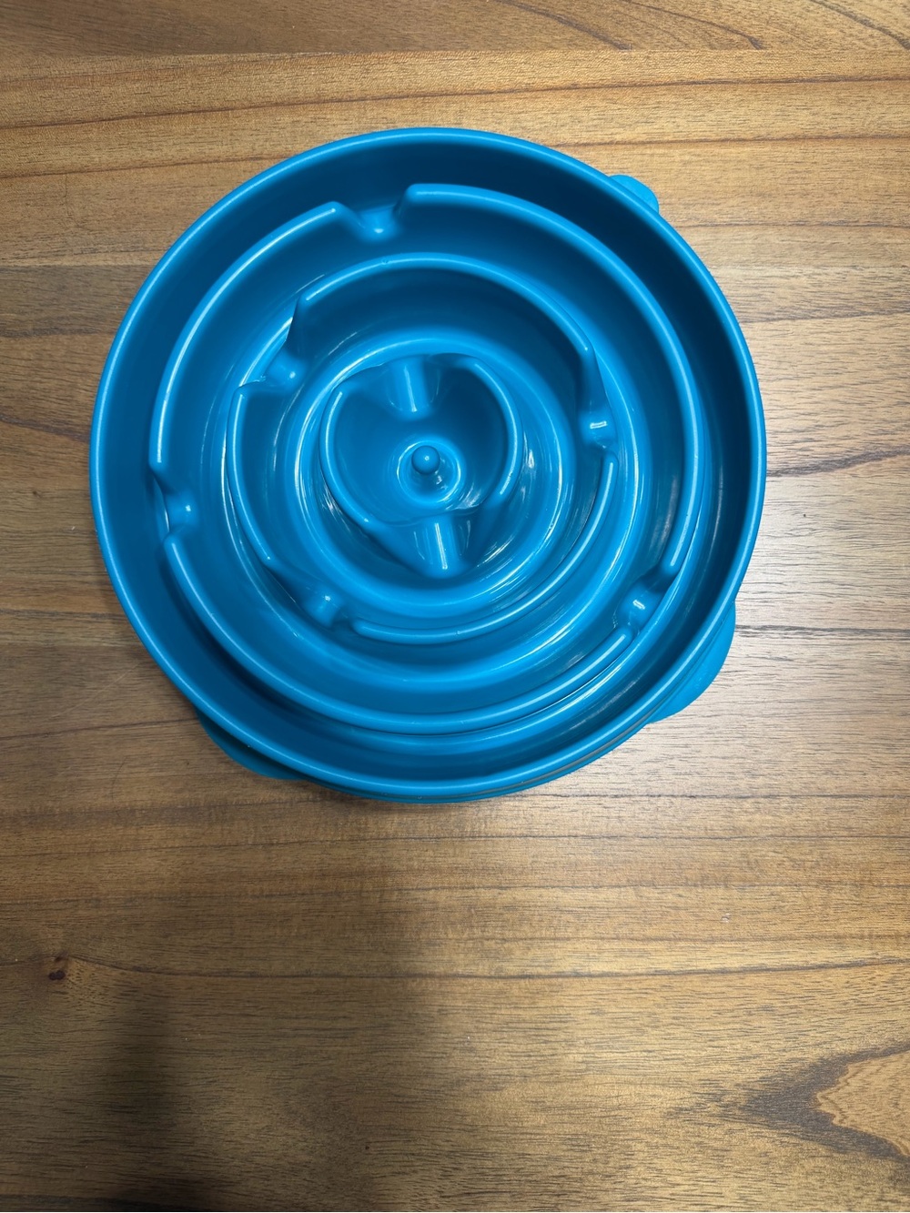 Outward Hound Slow Feeder Dog Bowl 4 Cups